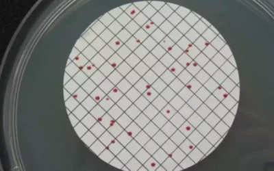 Informes preocupantes sobre la calidad del agua en Illescas