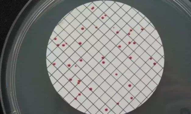 Informes preocupantes sobre la calidad del agua en Illescas