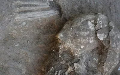 Una necrópolis de más de 6 mil años debajo de las instalaciones de Dia y Amazon en Illescas