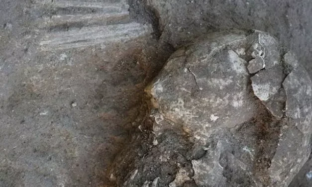 Una necrópolis de más de 6 mil años debajo de las instalaciones de Dia y Amazon en Illescas