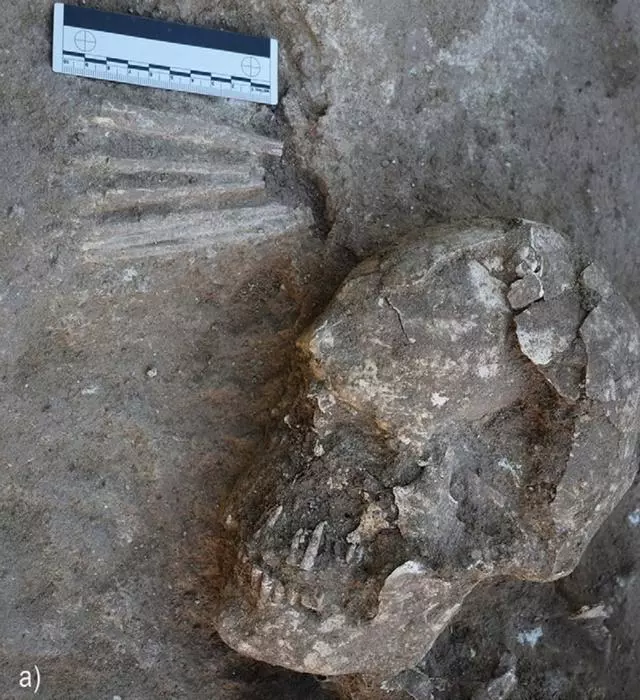 foto Cambridge Archaeological Journal Excavaciones poligono valdelasilla en Illescas