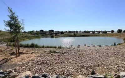 Se inauguran zonas verdes en el entorno del Polígono Logístico Pradillos II